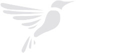 DDoptics Deutschland